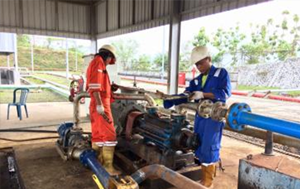 Transfer & Injection Pump