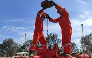 Well Intervention Service